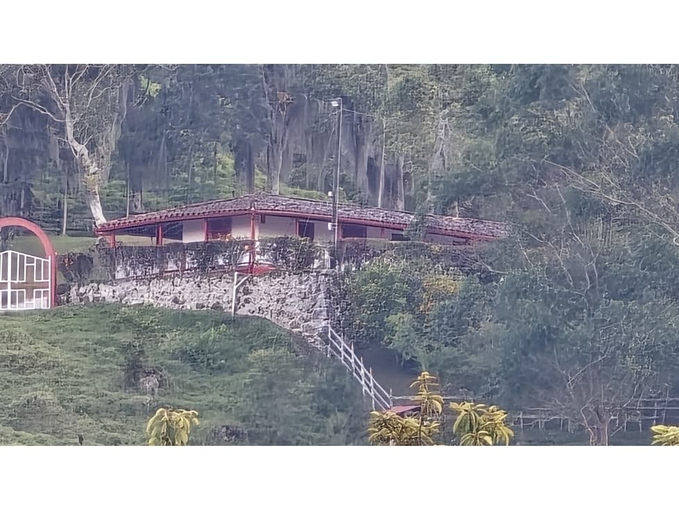 Vendo Finca Angostura Antioquia P1 C8339213 - 1