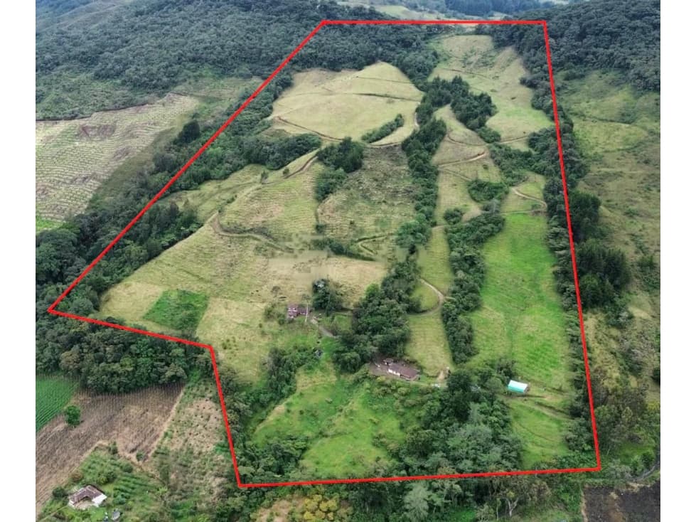 FINCA PRODUCTIVA EN VENTA SONSÓN, ANTIOQUIA - 1