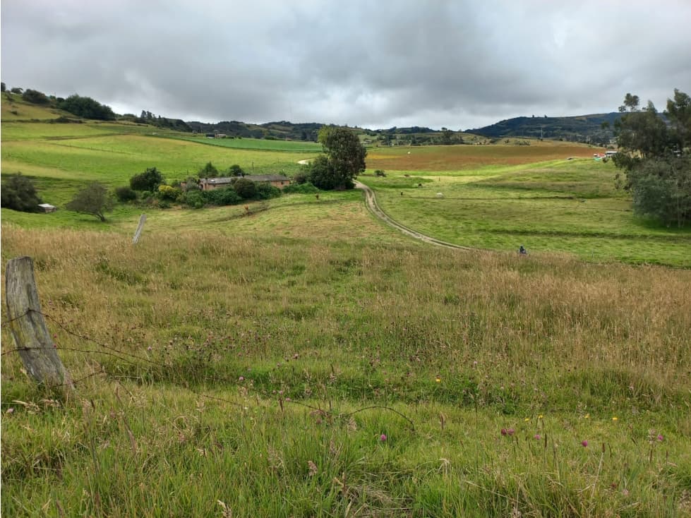 VENTA DE FINCA EN LA VERDEDA CARBONERA MOTAVITA - 1