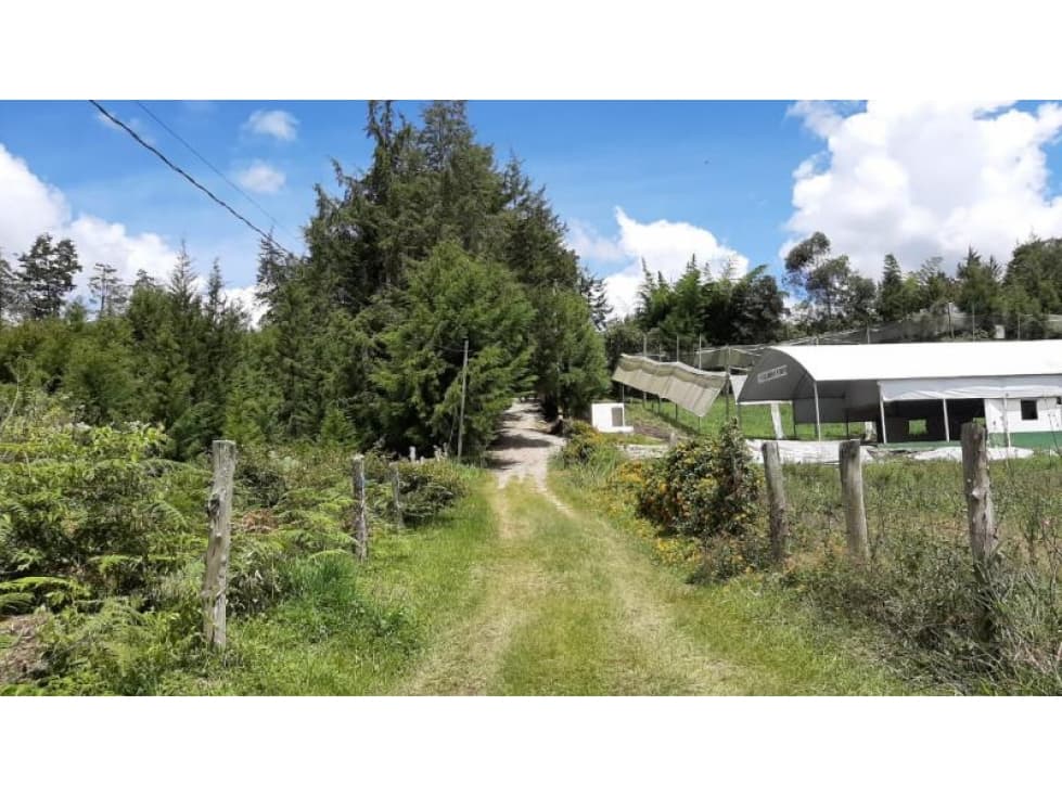 Lote en Venta en Rionegro - 1