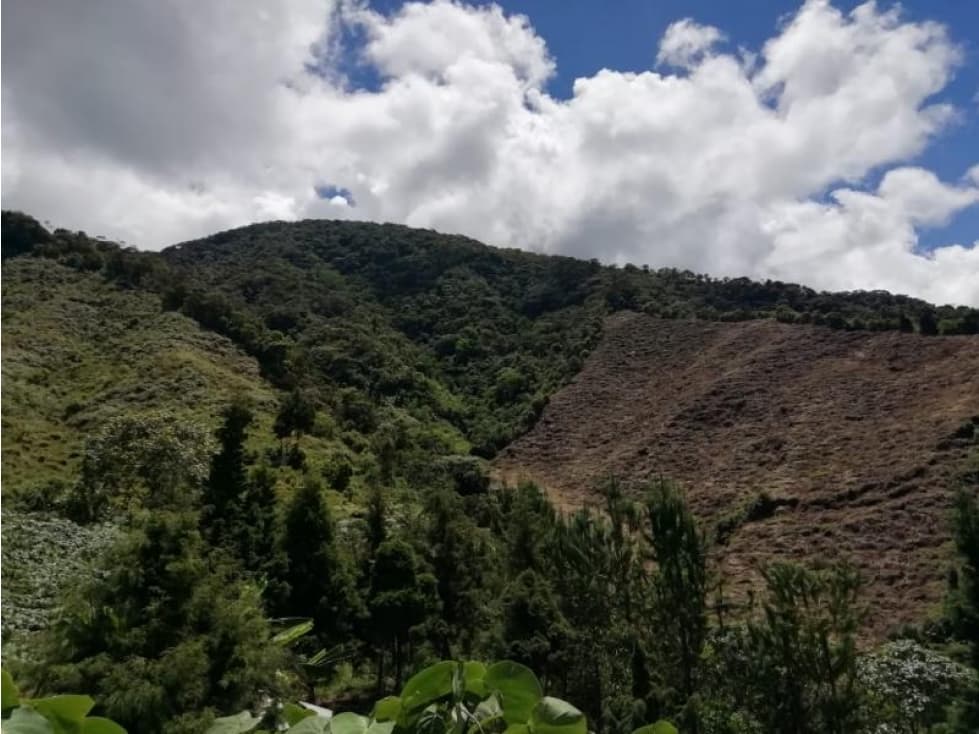 Lote en Venta en Sonsón - 1