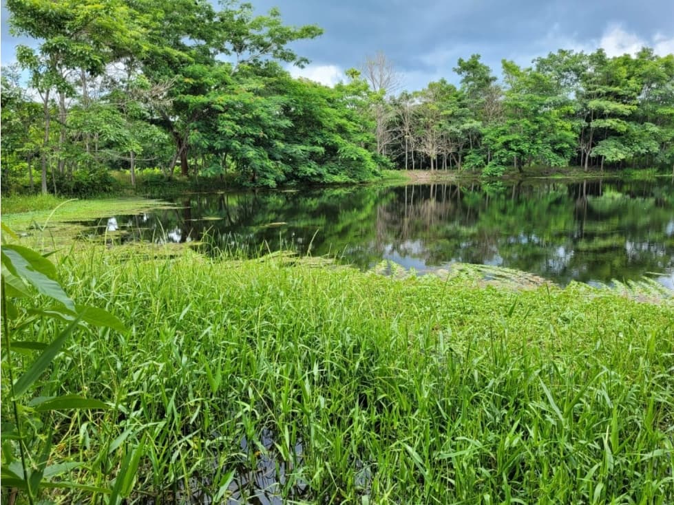 FINCA PARA VENTA DE 27 HECTAREAS EN CLEMENCIA, BOLÍVAR - 1