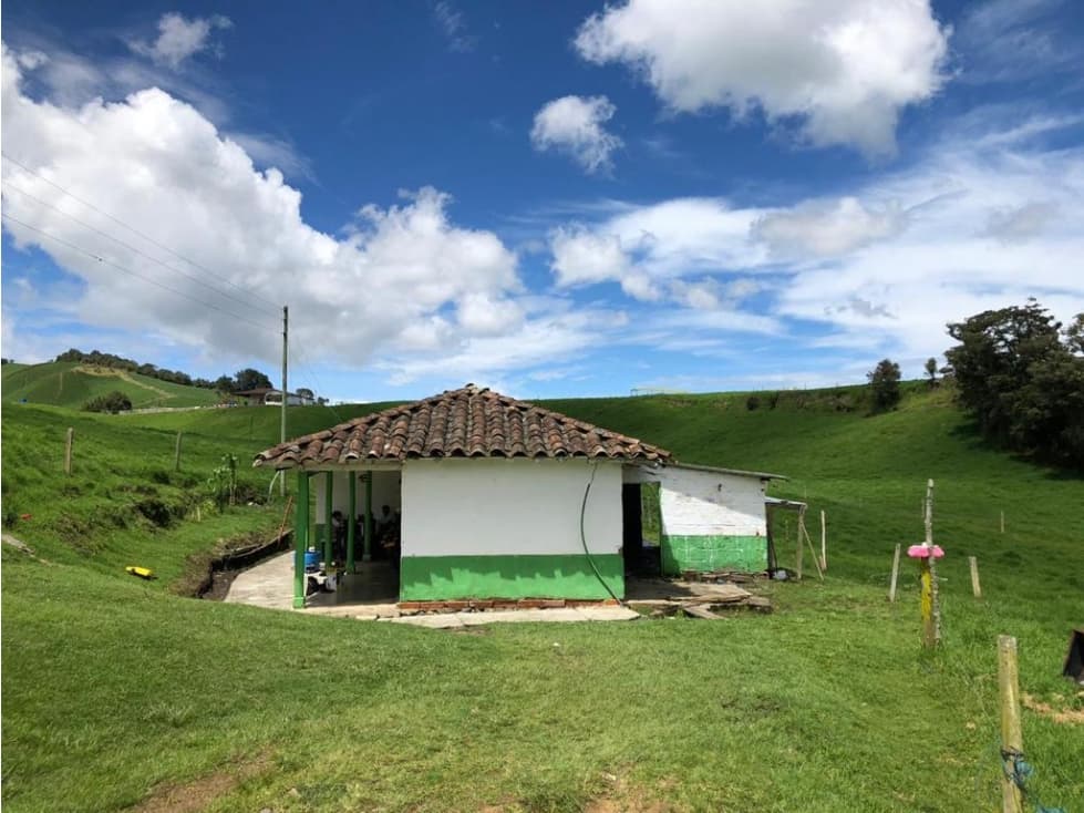 Venta de Finca en la Union - 1