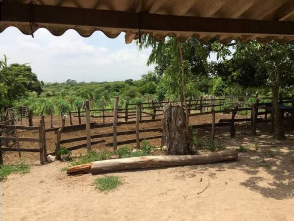 Finca en Venta en Palmar de Varela - 1
