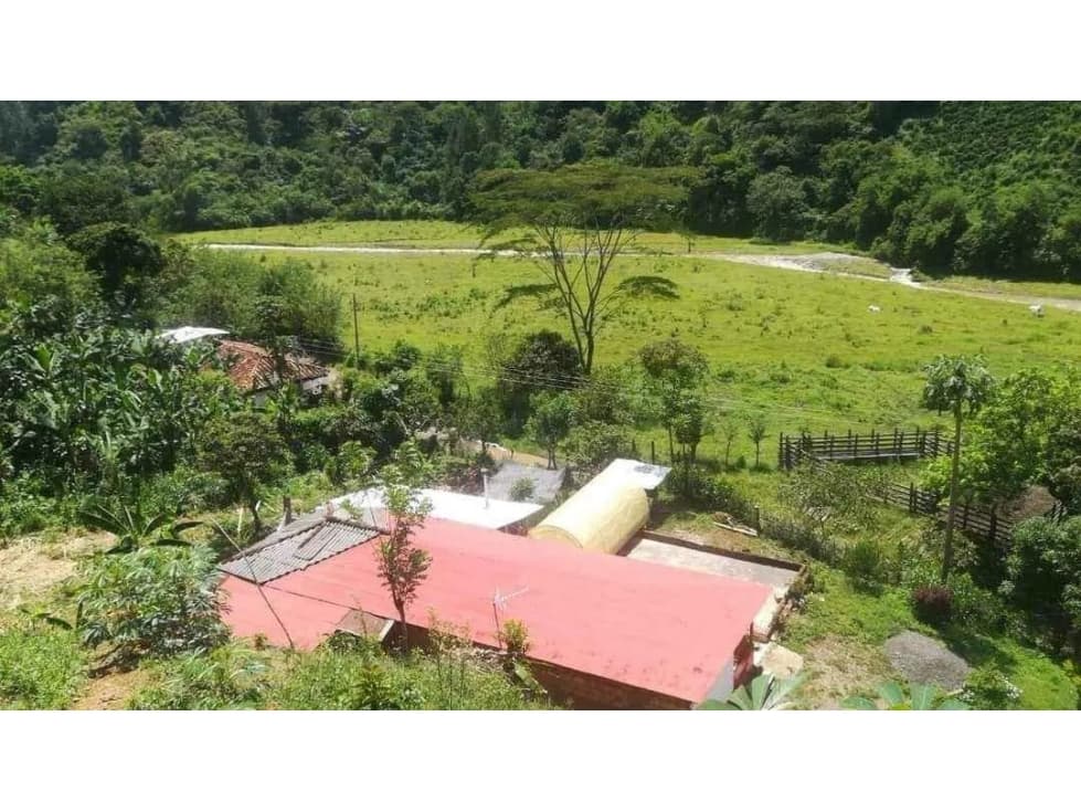 FINCA PARA LA VENTA EN SUROESTE ANTIOQUEÑO CCZ - 1