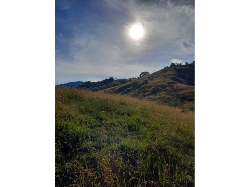 VENTA FINCA GANADERA EN HISPANIA, SECTOR REMOLINOS - 1