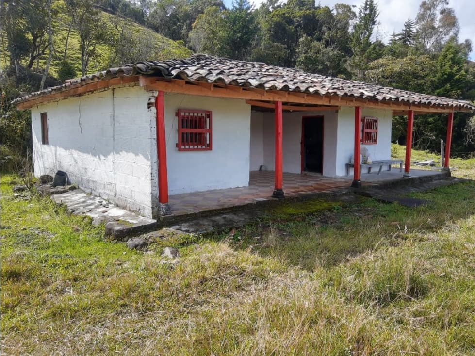 VENTA FINCA EN SONSÓN VEREDA MANZANARES - 1