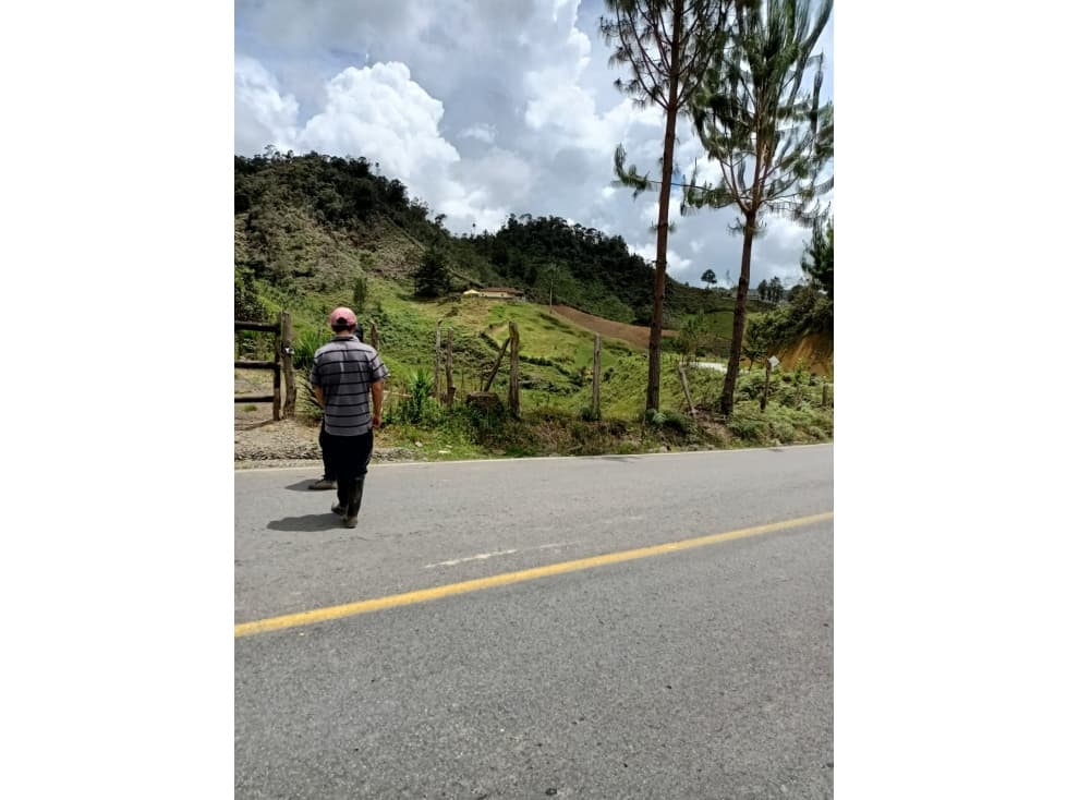 Venta de lote en Concepción - 1