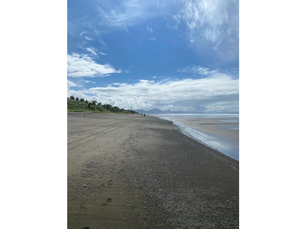 Venta de Lote para construction turistica en Bahia solano - 1