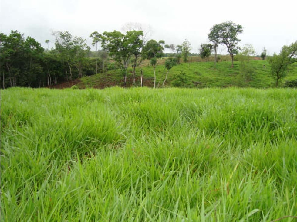 Lote en Vender en Puerto Triunfo - 1
