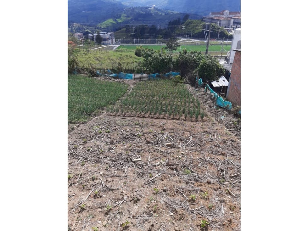 YARUMAL EXCELENTE LOTE URBANO CERCA AL PUEBLO Y TODO - 1