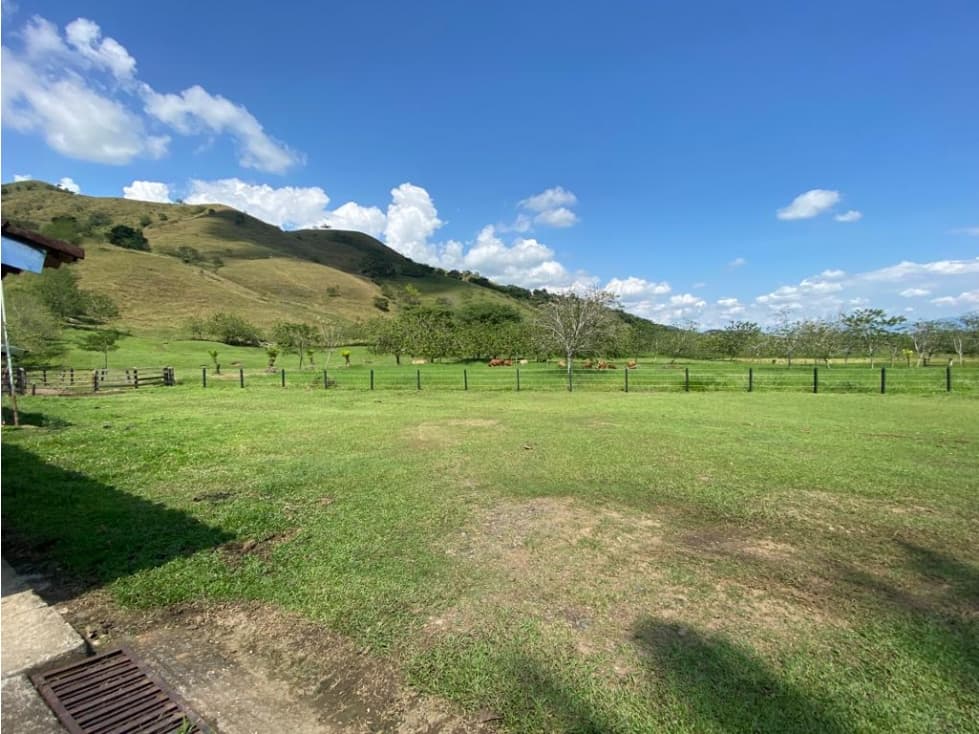 VENDO FINCA DE 420 CUADRAS CERCA AL INGENIO RISARALDA, LA VIRGINIA CV - 1