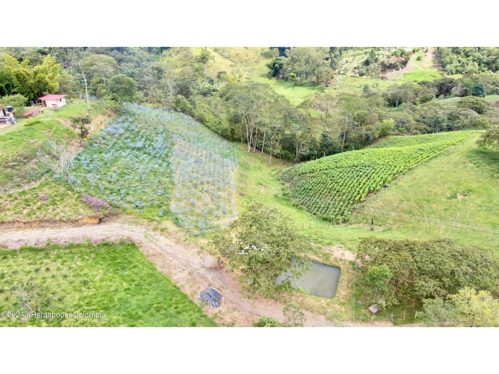 Lote en Quipile (Cundinamarca) RAH CO: 26-68 - 1