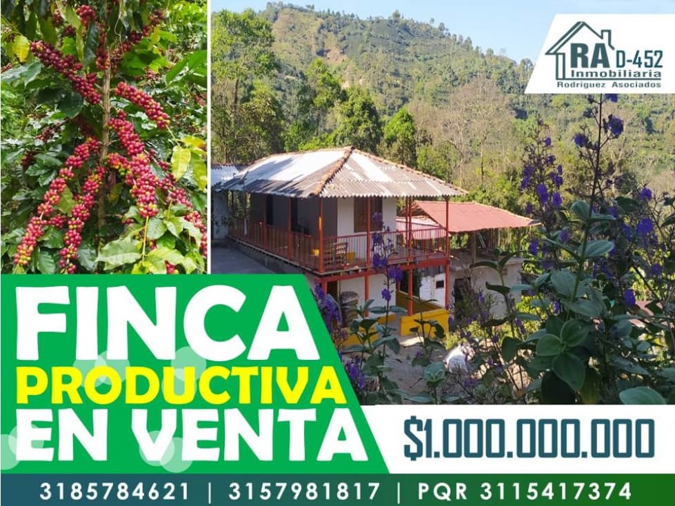 Finca en Vender en Betania - 1