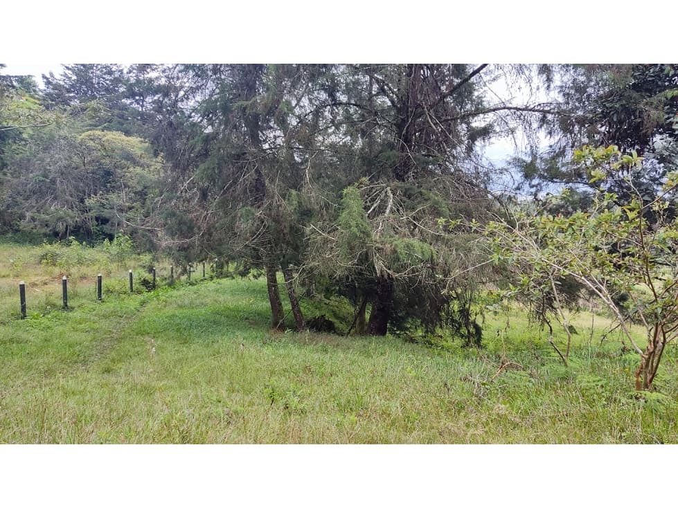 LOTE EN SANTUARIO VEREDA POTRERITO - 1