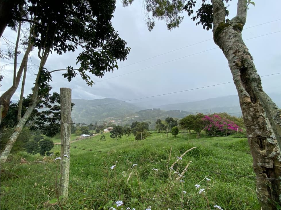 LOTE ANTIOQUIA YARUMAL CON CASA CAMPESINA VEREDA SANTA RITA - 1