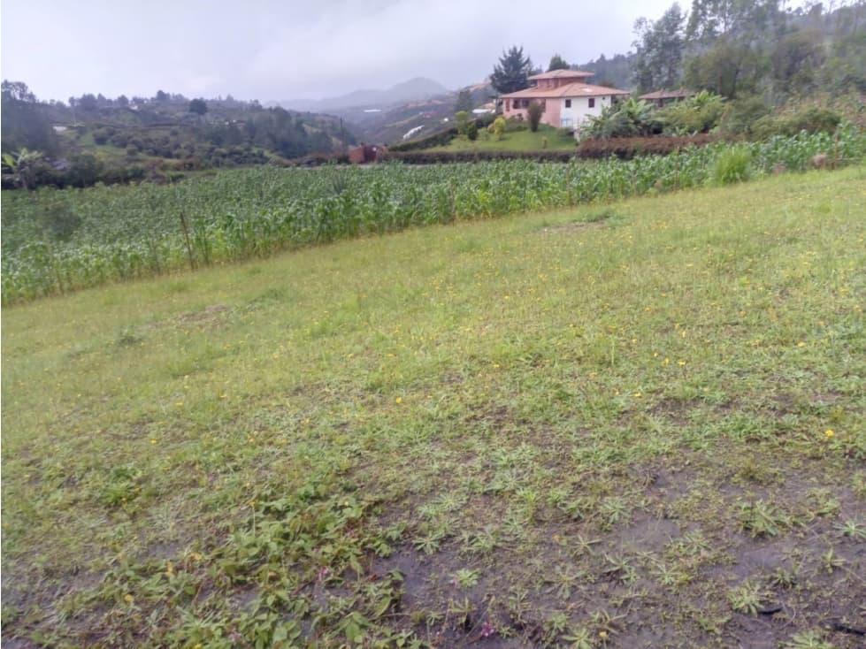 HERMOSO LOTE SAN VICENTE VEREDA LA ENEA - 1