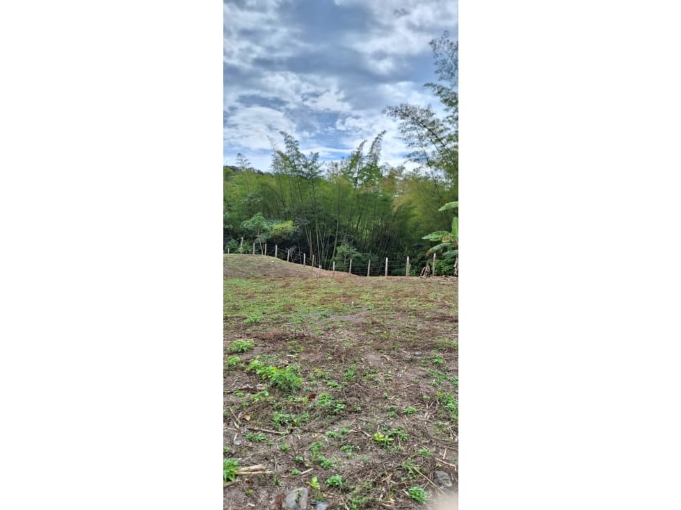 NOCAIMA LOTES EN VENTA 6.118 M² Ideales para proyecto campestre - 1