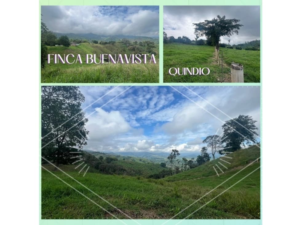 FINCA BUENAVISTA QUINDIO - 1
