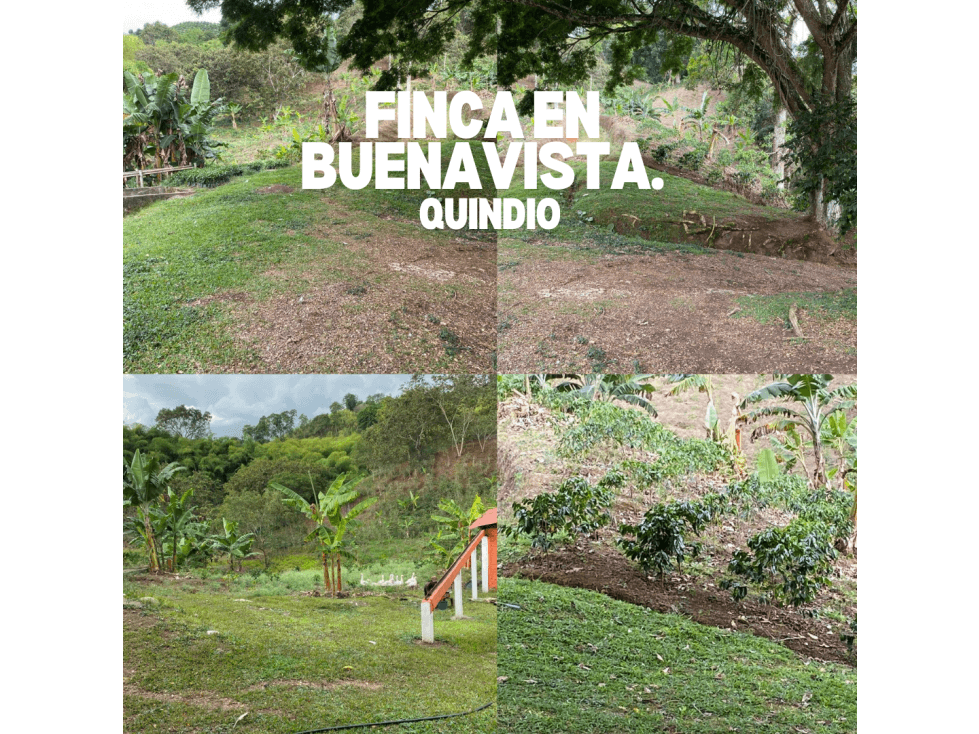 FINCA EN BUENA VISTA QUINDIO - 1