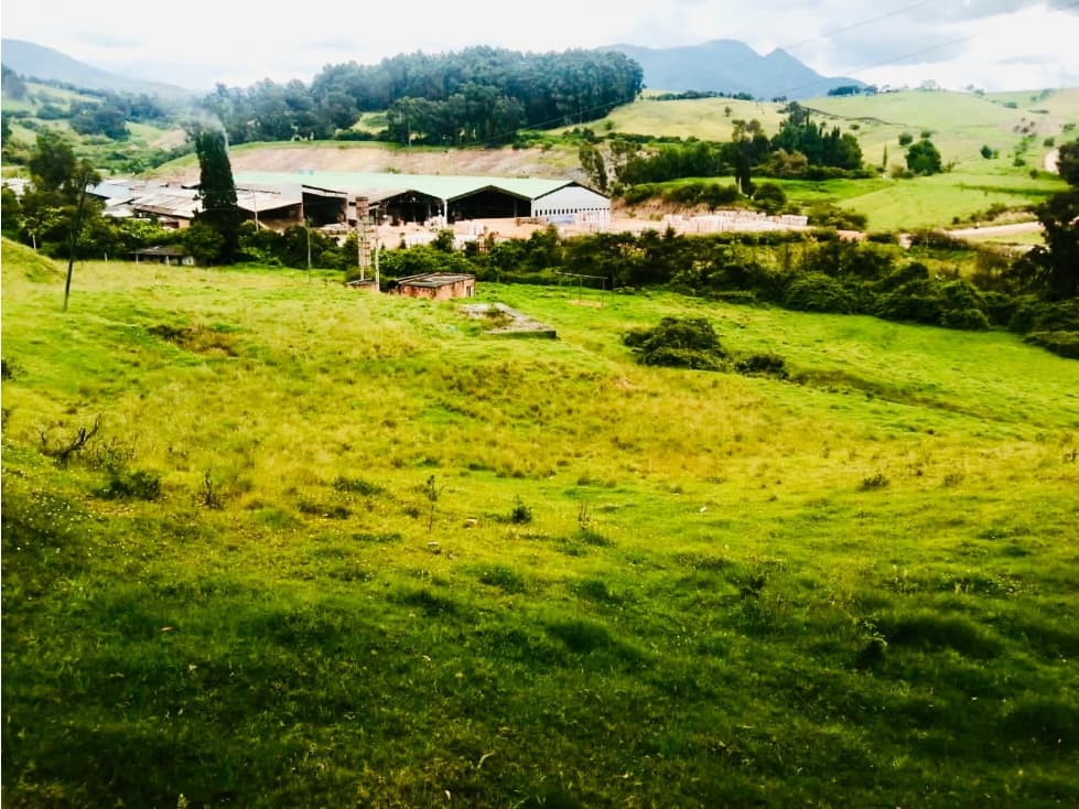 VENTA DE LOTE MINERO- INDUSTRIAL EN COGUA - 1