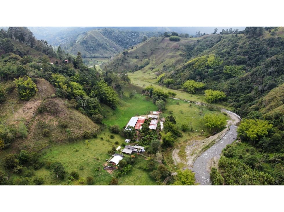 HERMOSA FINCA SALENTO. - 1