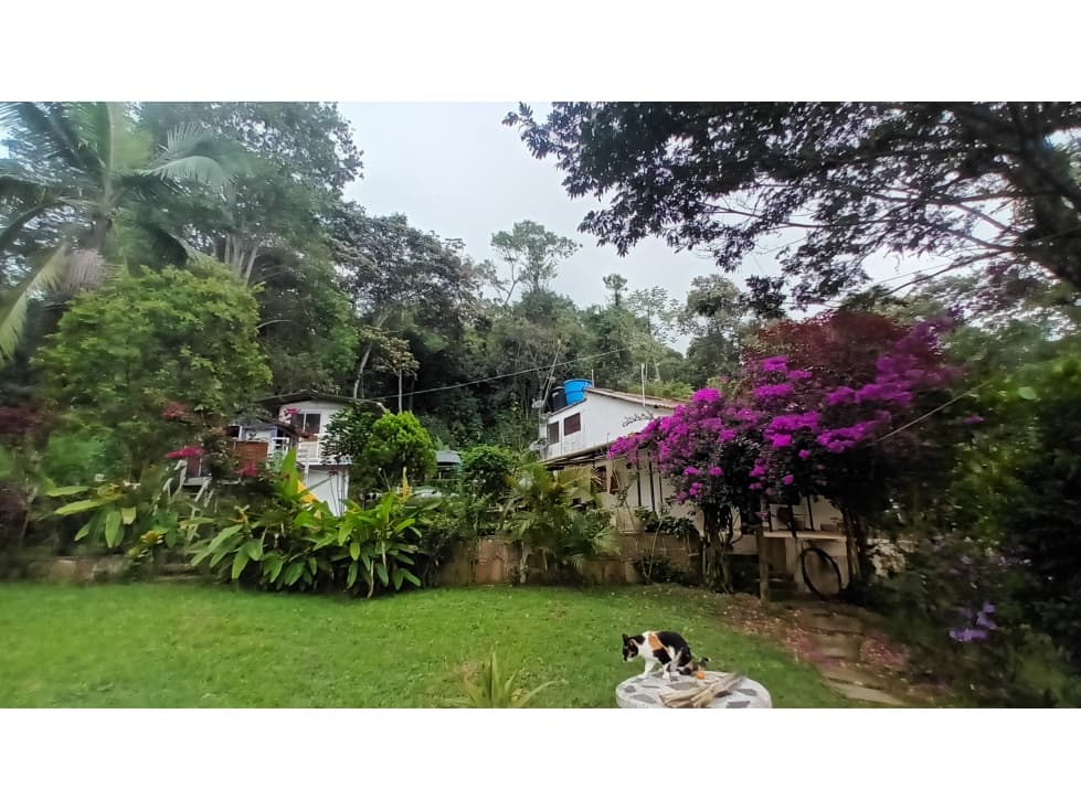 FINCA EN VENTA SILVANIA - 1