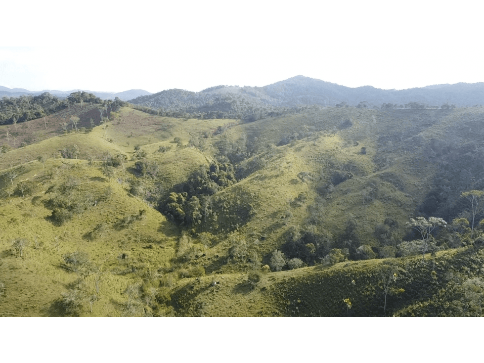 SE VENDE FINCA EN YOLOMBÓ DE 100 HECTÁREAS - 1