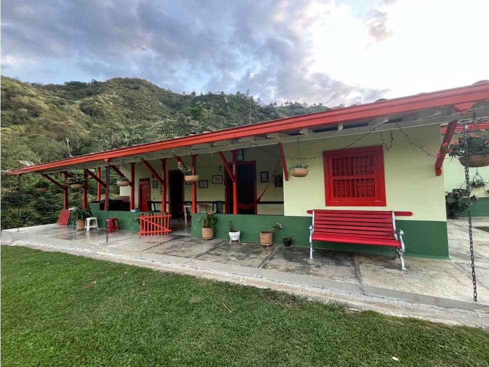 VENDO FINCA CAFETERA DE 8,3 CUADRAS EN CIUDAD BOLIVAR ANTIOQUIA - 1