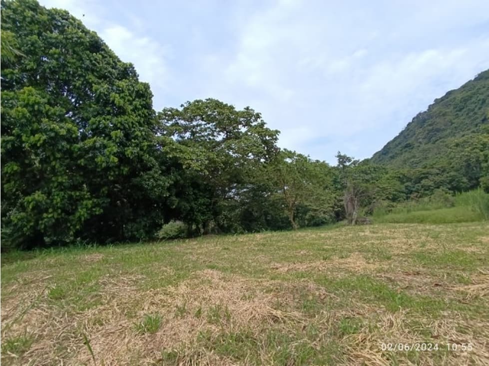 VENDO LOTES DESDE 4.000 m² SECTOR LA ALBANIA EN TITIRIBÍ - SUROESTE - 1