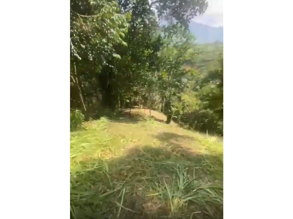 Lote en venta en San Carlos Anitioquia - 1