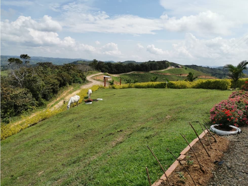 VENDO LOTE EN CISNEROS-ANTIOQUIA-A 75 MINUTOS DESDE LA ESTACIÓN NIQUIA - 1