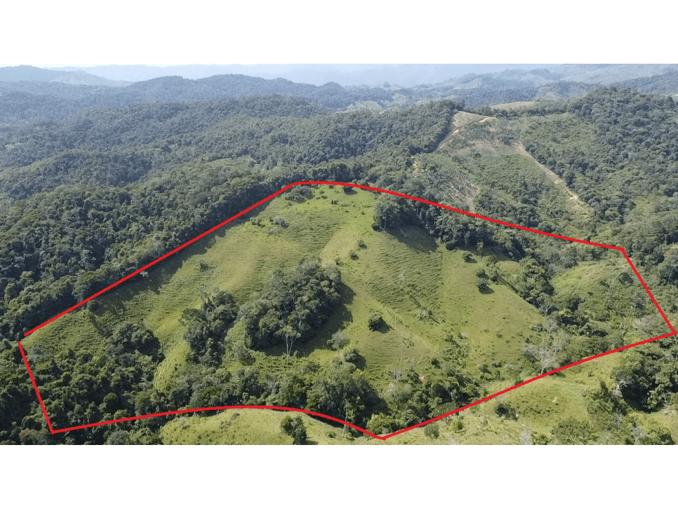 SE VENDE FINCA EN YOLOMBÓ 10 HECTÁREAS - 1