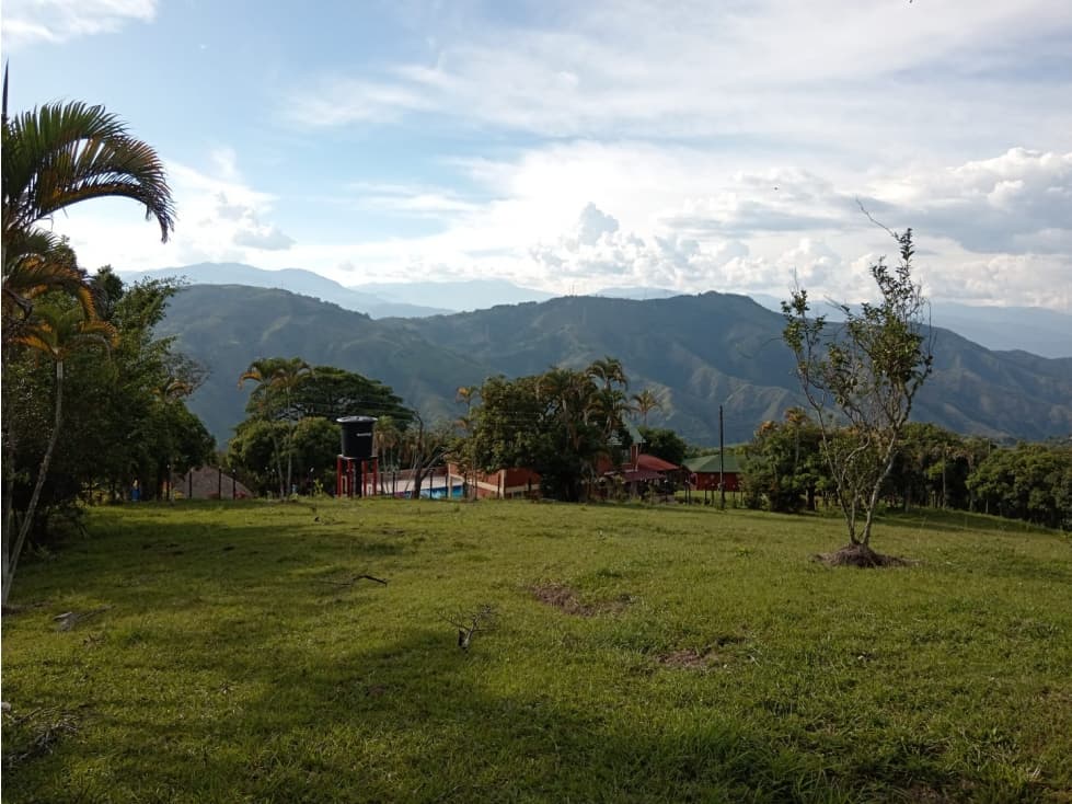 VENTA FINCA MUNICIPIO EBEJICO A 1 HORA DE MEDELLIN - 1