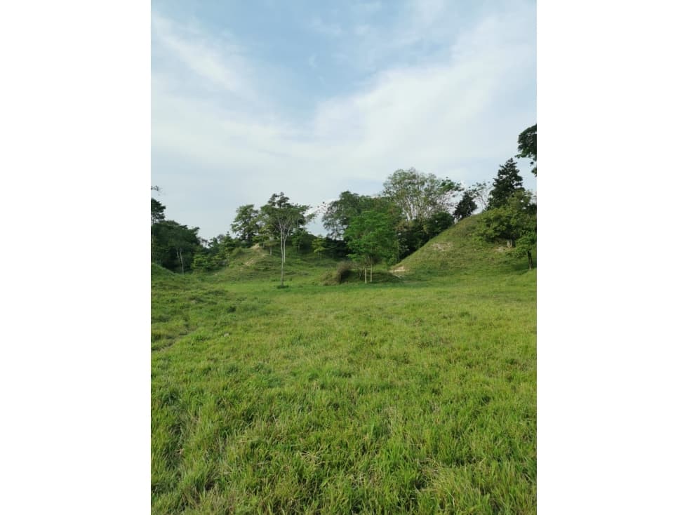Se Vende Finca Ganadera por Puerto Berrio. Via Puerto Araujo. - 1