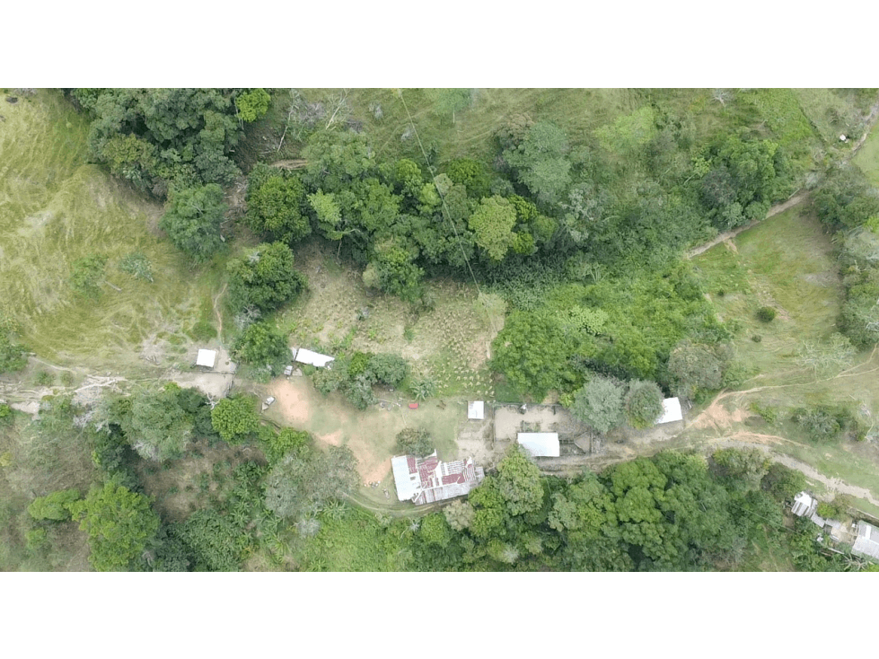 SE VENDE FINCA MACEO A TAN SOLO 3 KILOMETROS DE LA VIA PPAL - 1