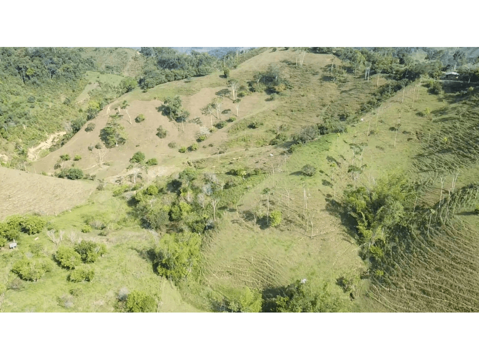 SE VENDE FINCA EN CARACOLI - 1
