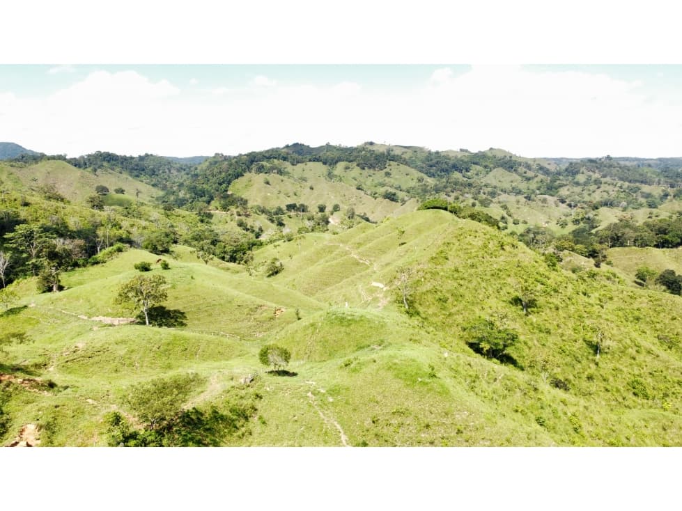 SE VENDE FINCA GANADERA EN MACEO LA SUSANA - 1