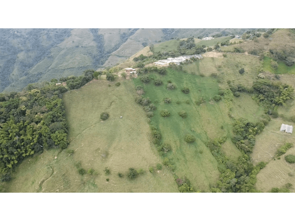 SE VENDE FINCA PORCÍCOLA Y GANADERA - 1