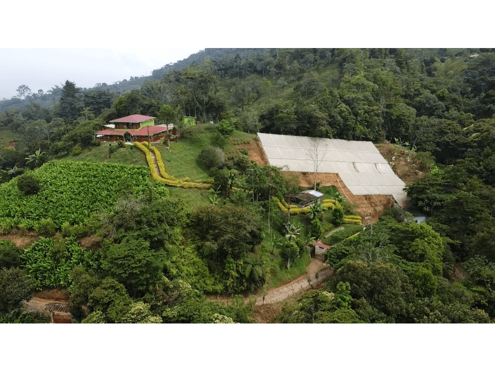 SE VENDE FINCA EN YOLOMBÓ - 1