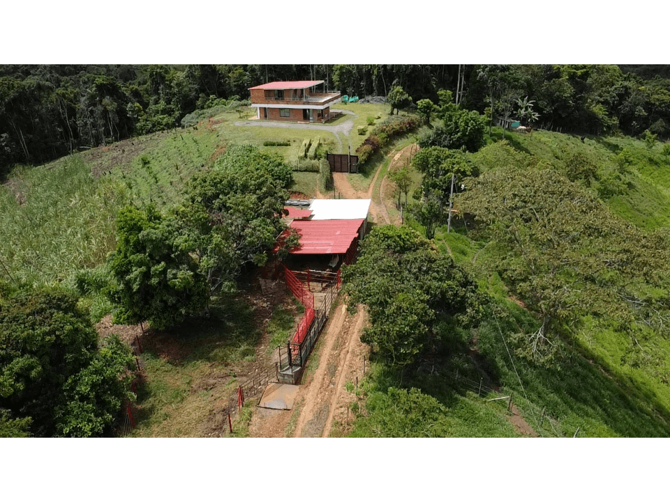 SE VENDE FINCA EN YOLOMBO - 1
