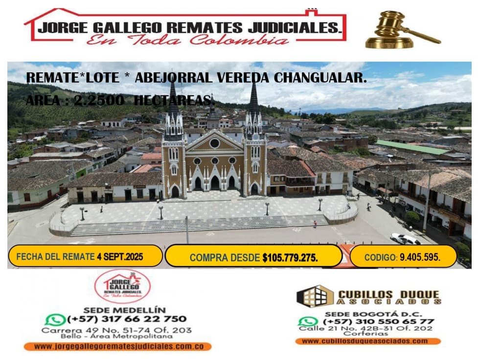 REMATE *CASA FINCA * ABEJORRAL VEREDA CHANGUALAR. - 1