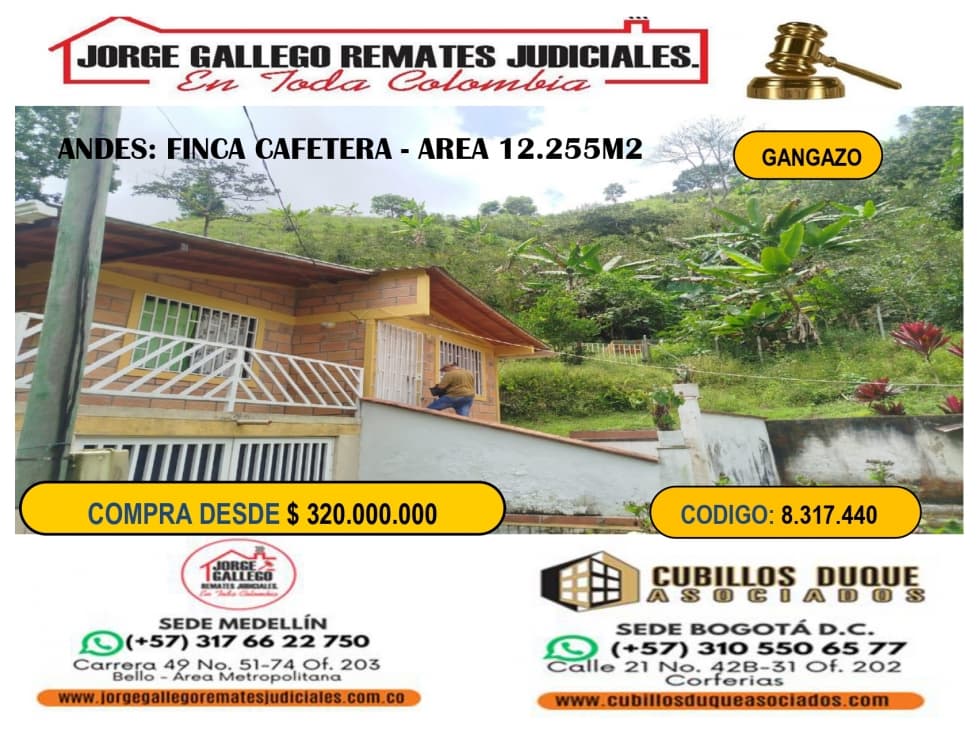REMATE*ANDES ANTIOQUIA*FINCA CAFETERA* - 1