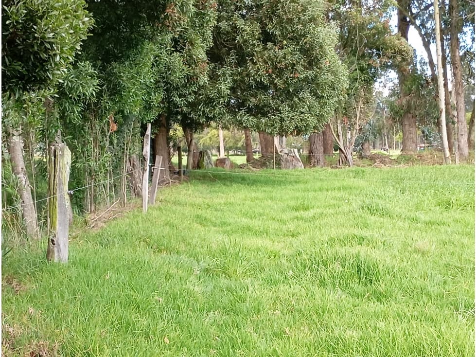 FINCA SE VENDE UBATE CUND. - 1