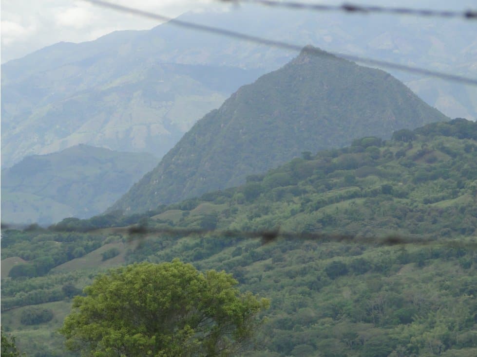 Lote para la venta en Tamesis Antioquia - 1