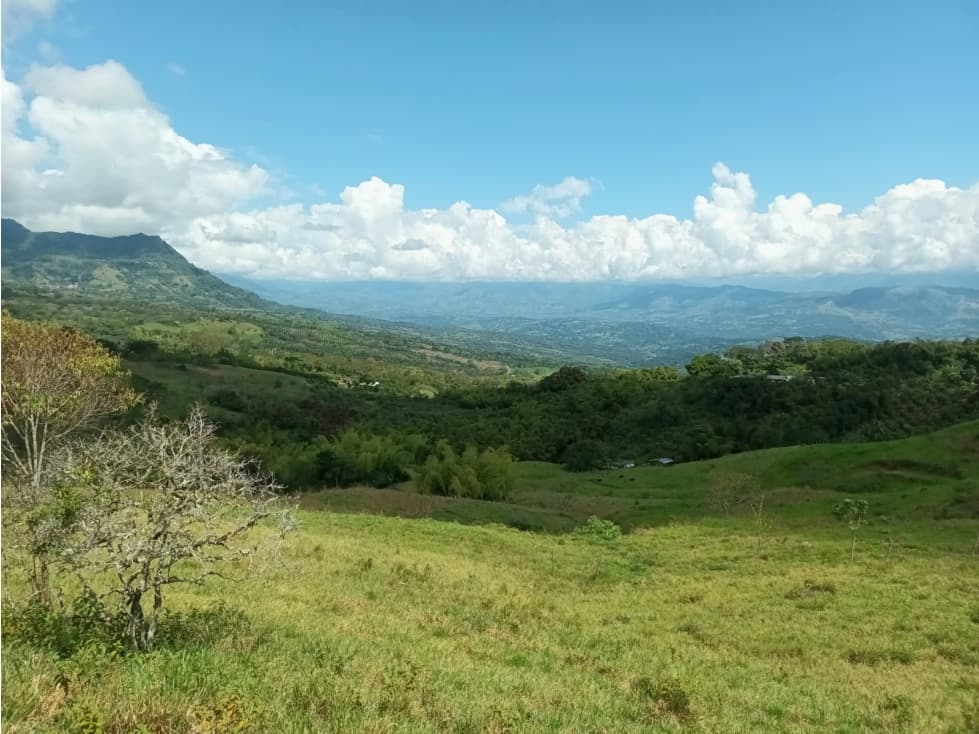 Lote en venta en Támesis Antioquia - 1