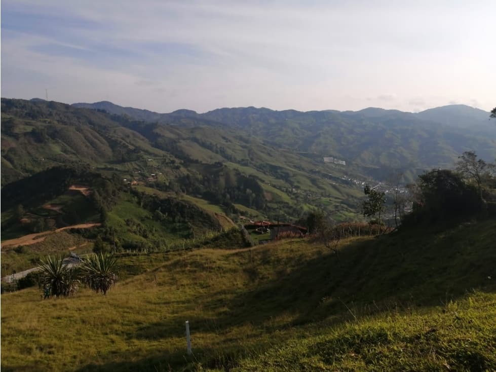 Lote en Venta de 1.633 m2, Concepción - 1