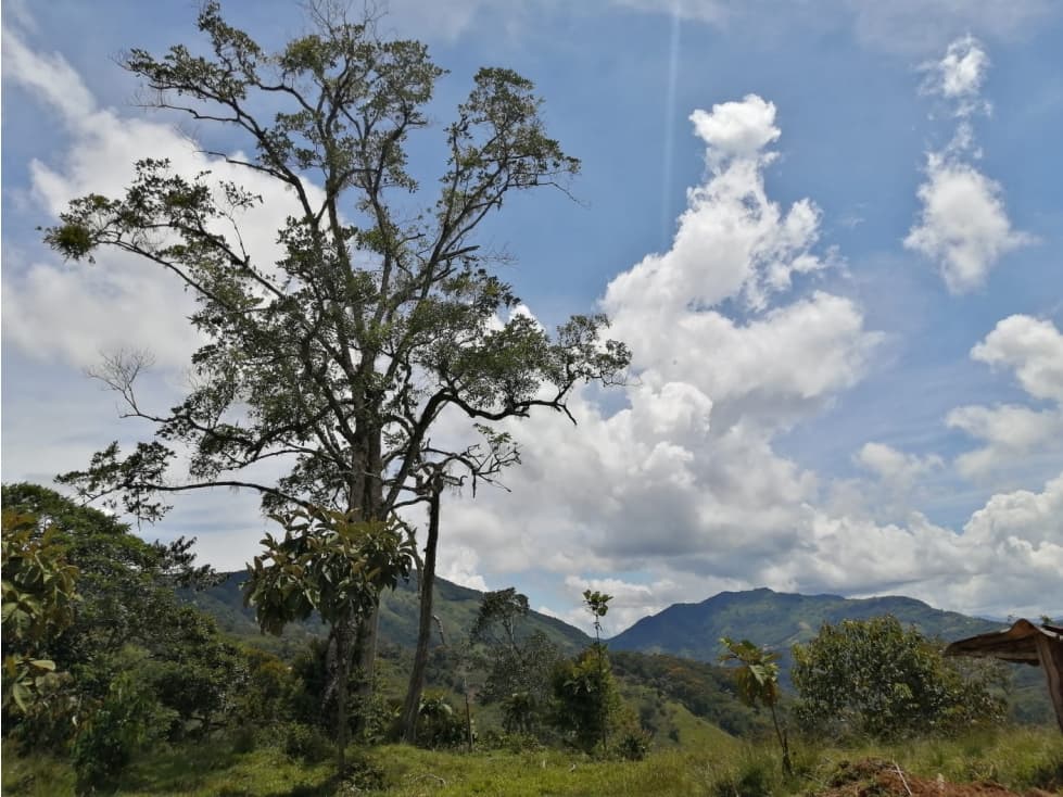 Venta de Lote #47 Santa Barbara - Cocorna - 1