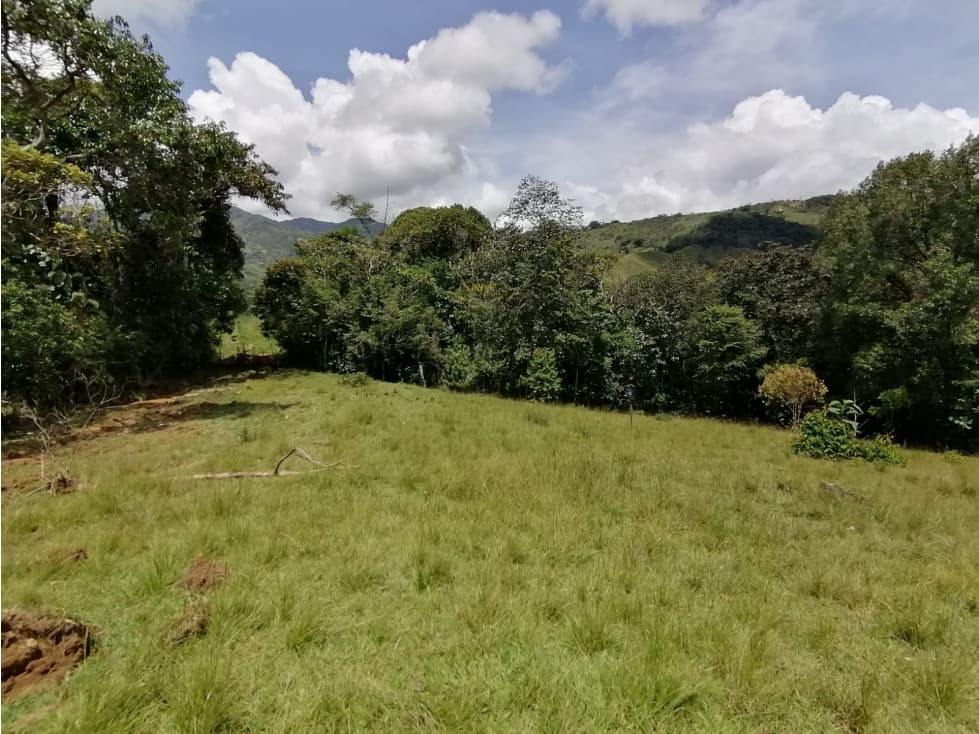 Venta de lote # 43 Santa Barbara - Cocorna - 1
