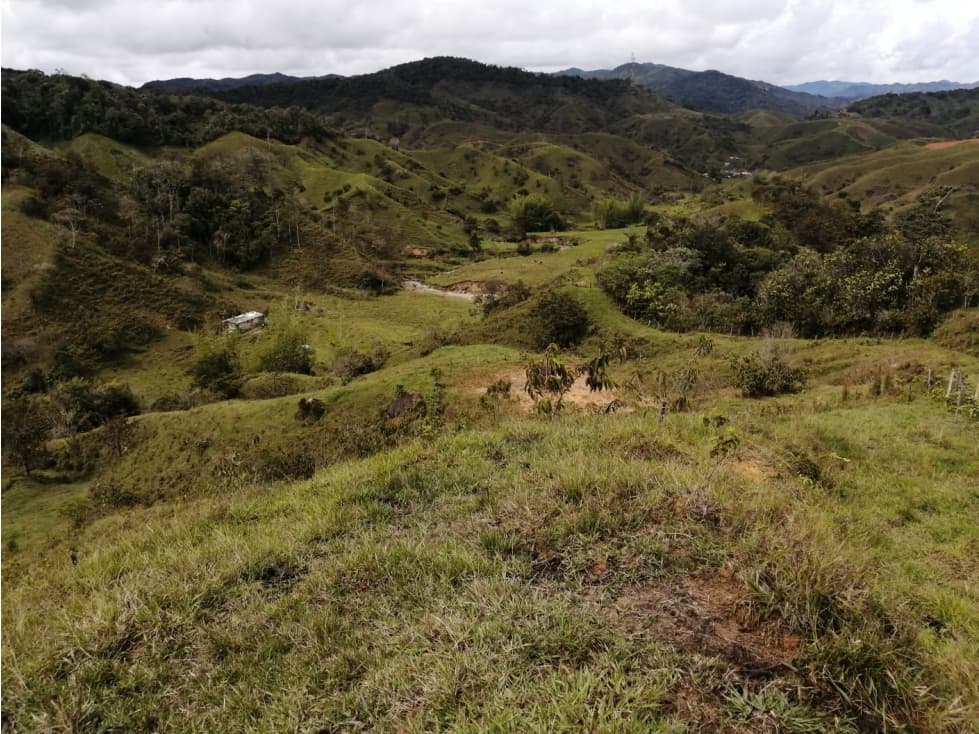 Lote en Venta Vereda Tocaima - Alejandría - 1
